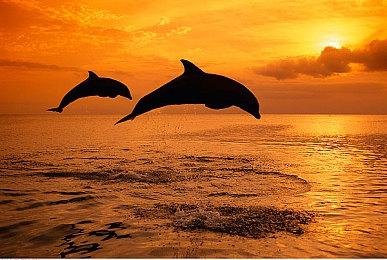 《拳击俱乐部2：快进》试玩版现已上架Steam